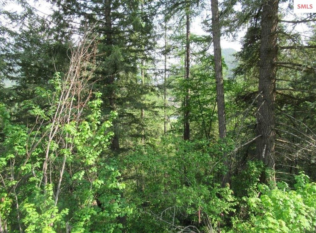 NNA N Quail Run Rd. Lot 14, Sandpoint, ID 83864 photo 10