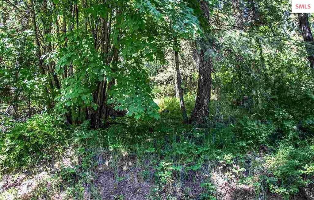 NNA N Quail Run Rd. Lot 14, Sandpoint, ID 83864 photo 13