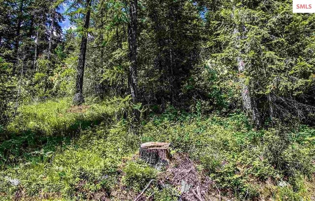 NNA N Quail Run Rd. Lot 14, Sandpoint, ID 83864 photo 14