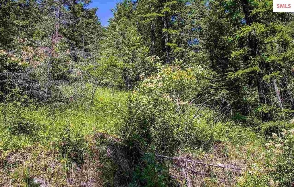 NNA N Quail Run Rd. Lot 14, Sandpoint, ID 83864 photo 17