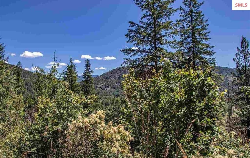 NNA N Quail Run Rd. Lot 14, Sandpoint, ID 83864 photo 5