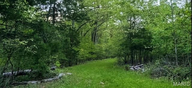 8578 Lizard Lane, Dittmer, MO 63023