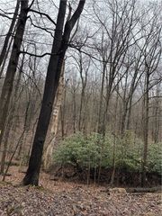 0 Spruce Hollow Road, Bullskin Twp, PA 15425