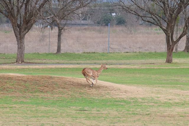 178 Spring Creek Cir, Bandera, TX 78003