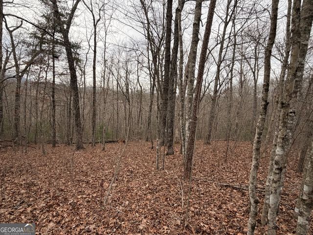 LOT 9 Sunrise Court, Blue Ridge, GA 30513