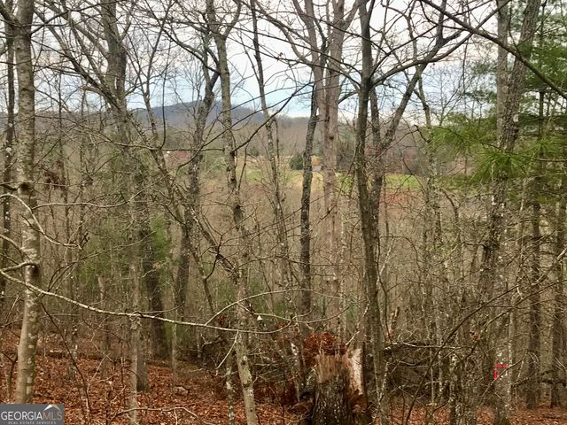 LOT 9 Sunrise Court, Blue Ridge, GA 30513
