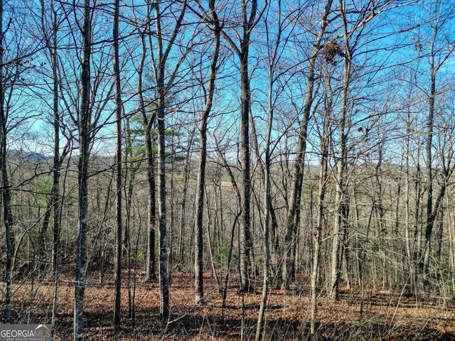LOT 9 Sunrise Court, Blue Ridge, GA 30513