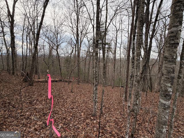 LOT 9 Sunrise Court, Blue Ridge, GA 30513