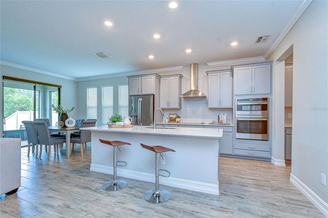 21534 VIOLET PERIWINKLE DRIVE, Land O Lakes, FL 34637