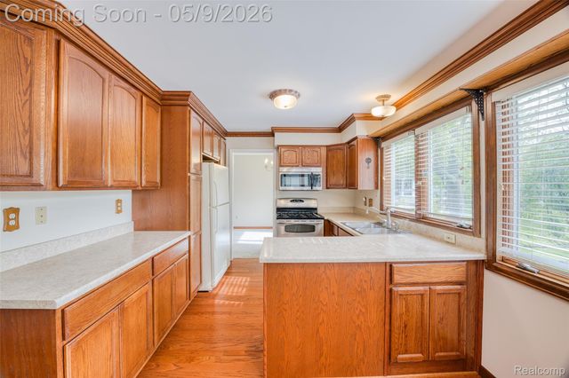 22718 Chestnut Tree, Novi, MI 48375