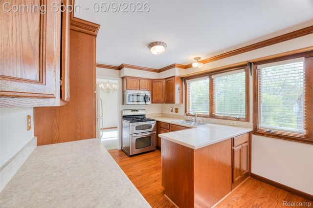 22718 Chestnut Tree, Novi, MI 48375