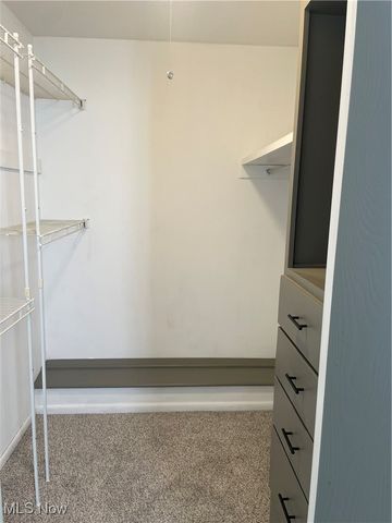 88 N Carpenter Road, Brunswick, OH 44212