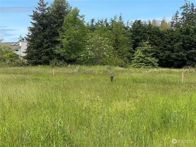 999 Savanana Soleil Way, Sequim, WA 98382