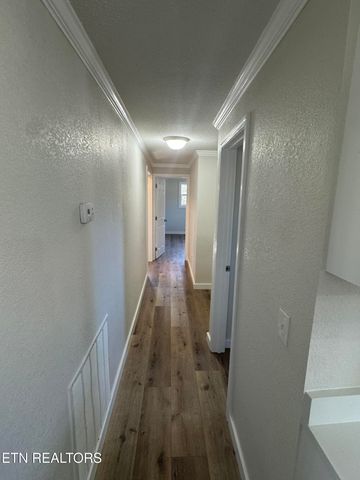 263 County Road 500, Englewood, TN 37329