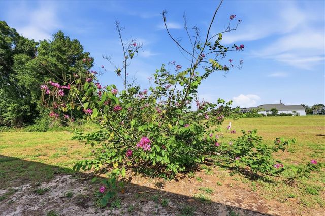 258 RIO DE JANEIRO AVENUE, Punta Gorda, FL 33983