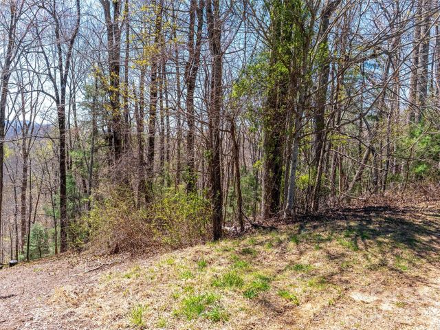 000 Glen Echo Circle, Saluda, NC 28773