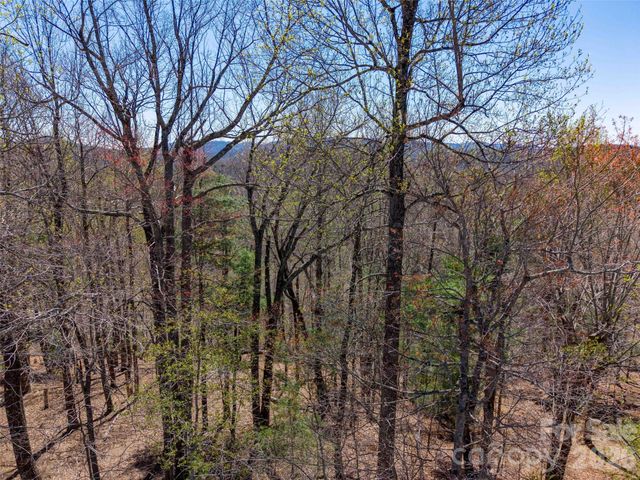 000 Glen Echo Circle, Saluda, NC 28773
