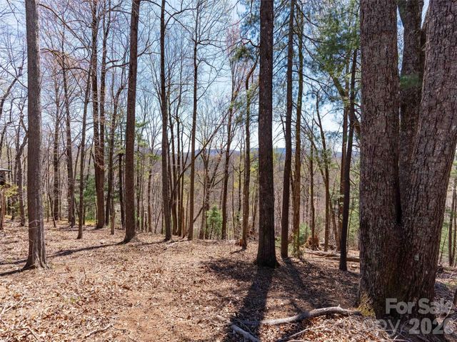 000 Glen Echo Circle, Saluda, NC 28773