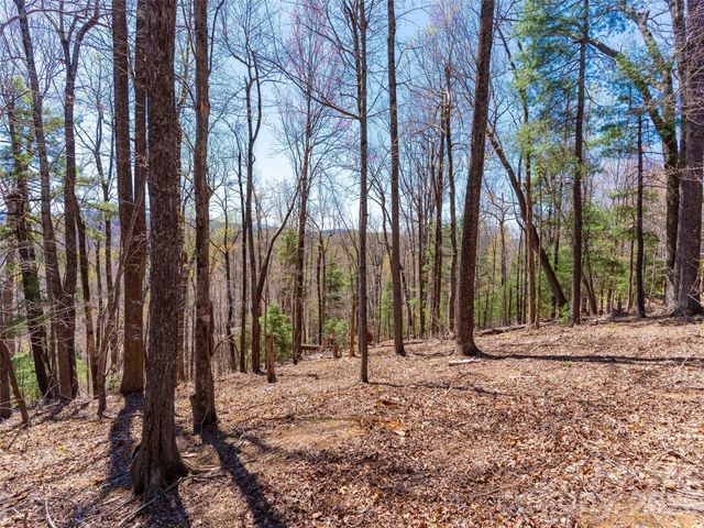 000 Glen Echo Circle, Saluda, NC 28773