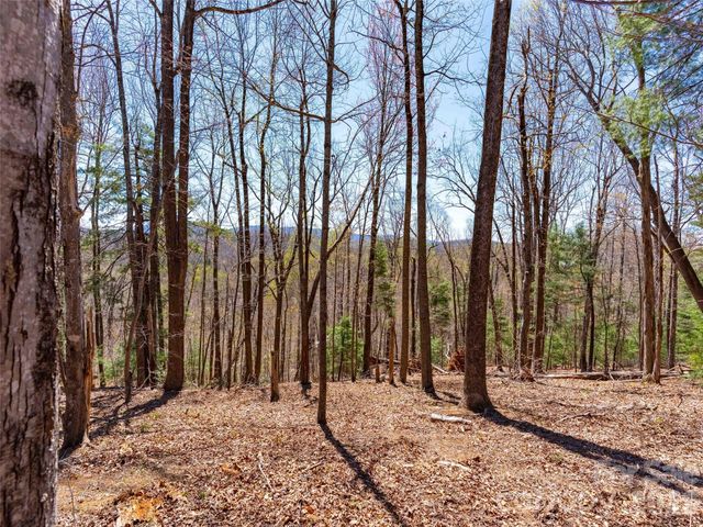 000 Glen Echo Circle, Saluda, NC 28773