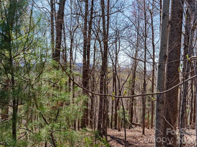 000 Glen Echo Circle, Saluda, NC 28773