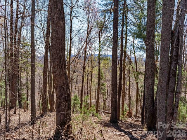 000 Glen Echo Circle, Saluda, NC 28773