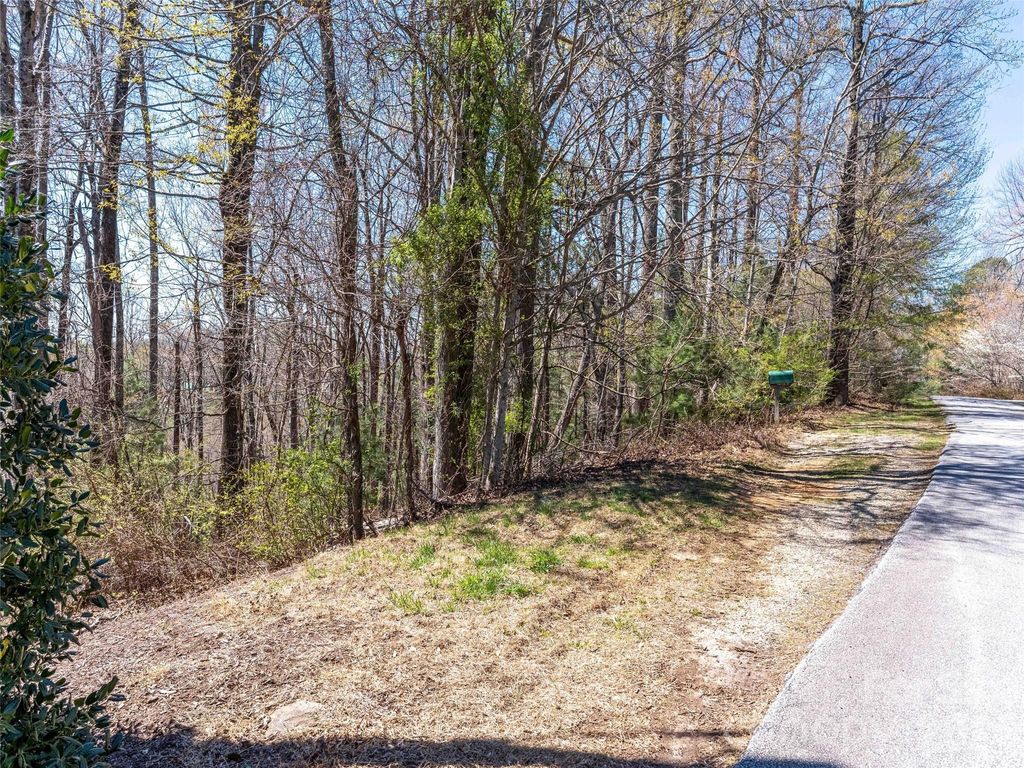 000 Glen Echo Circle, Saluda, NC 28773