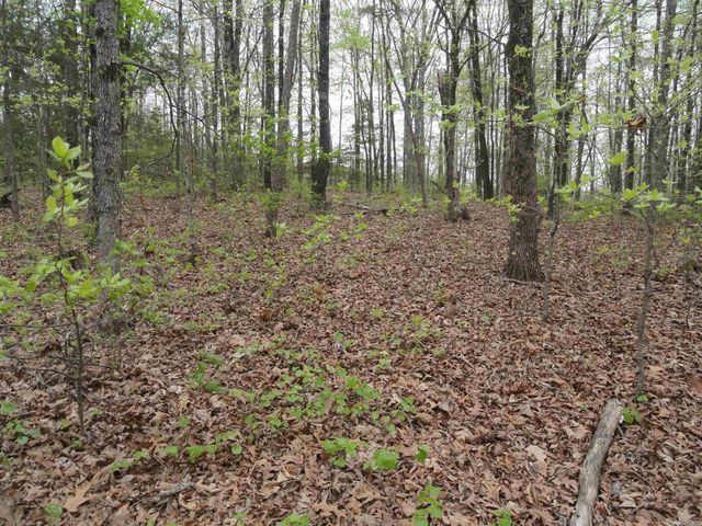 0000 Long Branch Lane, Bee Branch, AR 72013