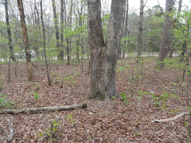 0000 Long Branch Lane, Bee Branch, AR 72013
