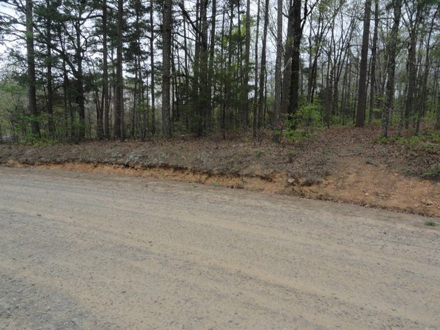 0000 Long Branch Lane, Bee Branch, AR 72013
