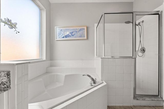 158 BAREFOOT BEACH WAY, Kissimmee, FL 34746