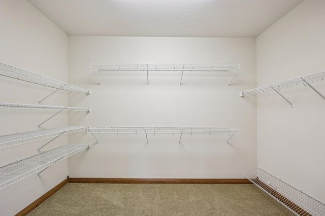 10590 Alamo Street NE, Blaine, MN 55449