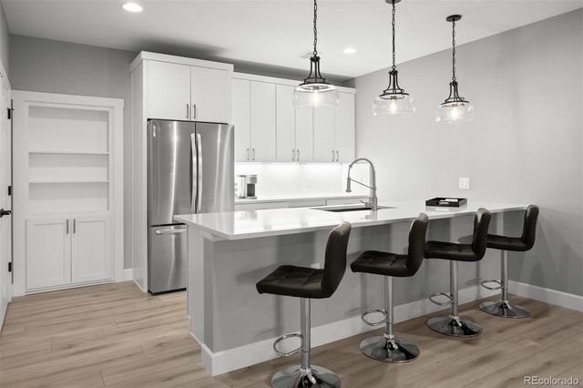 8896 Snake River Street, Littleton, CO 80125
