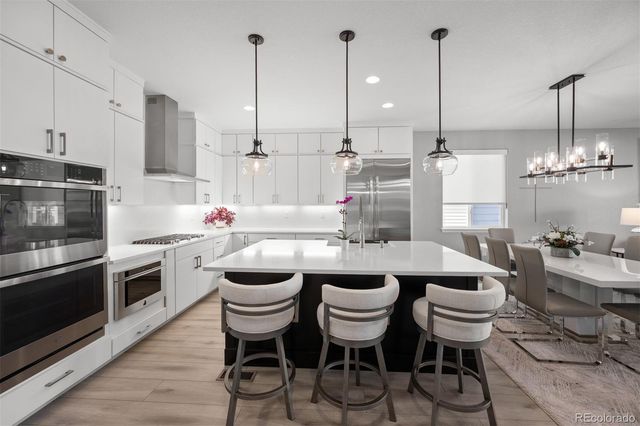 8896 Snake River Street, Littleton, CO 80125