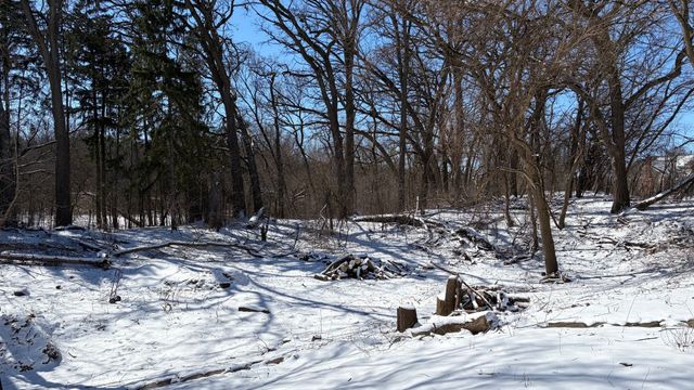 Lot 1 Asbury Avenue, Fox River Grove, IL 60021