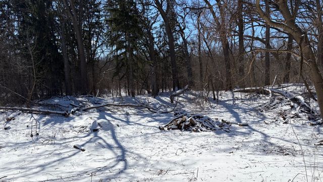 Lot 1 Asbury Avenue, Fox River Grove, IL 60021