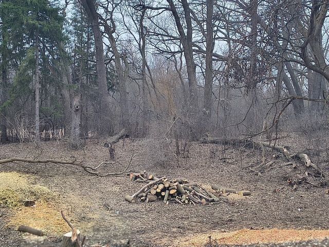 Lot 1 Asbury Avenue, Fox River Grove, IL 60021