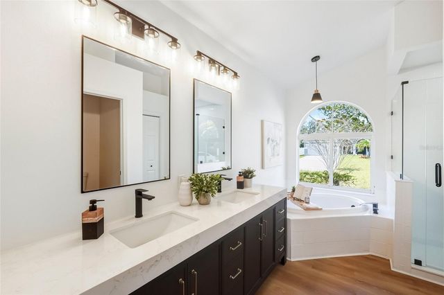 19905 WYNDMILL CIRCLE, Odessa, FL 33556