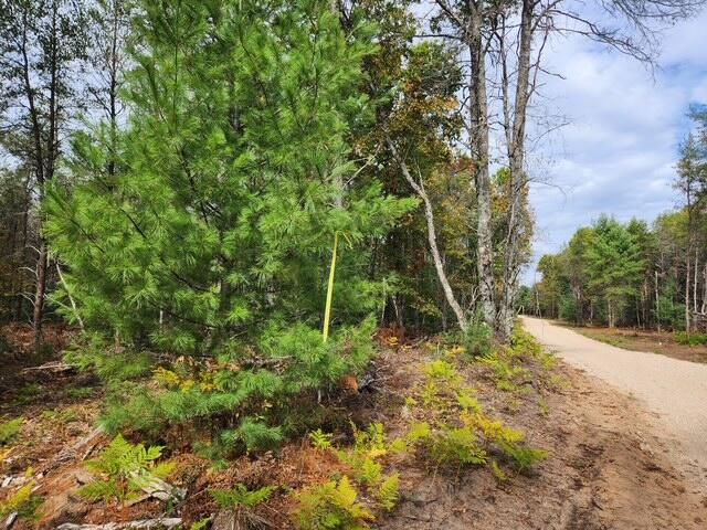 Parcel F Tatanka Trail, Baldwin, MI 49304