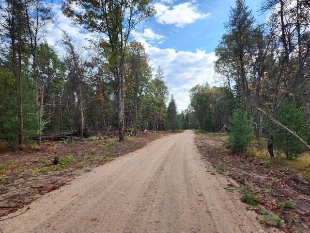 Parcel F Tatanka Trail, Baldwin, MI 49304