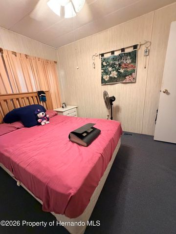 19973 Ruth Street, Brooksville, FL 34601