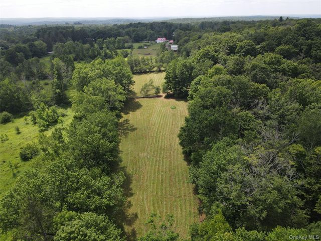 1103 County Road 114, Cochecton, NY 12726