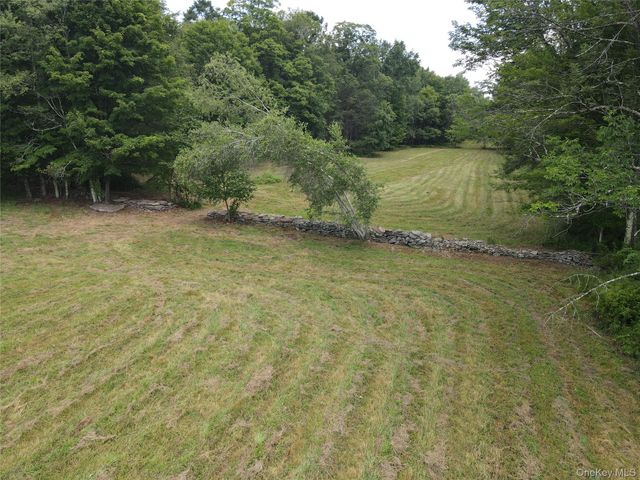 1103 County Road 114, Cochecton, NY 12726