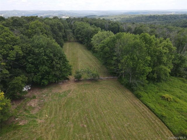 1103 County Road 114, Cochecton, NY 12726