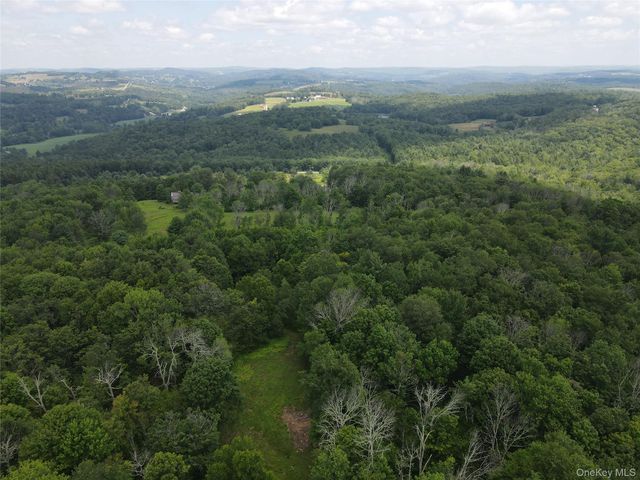 1103 County Road 114, Cochecton, NY 12726