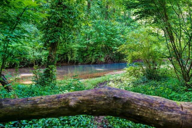 4552 E Spruce Drive, Springfield, MO 65809