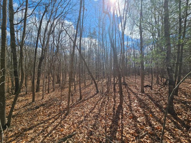 10 Griswold Road, Altamont, TN 37301