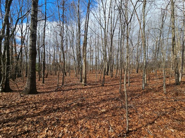 10 Griswold Road, Altamont, TN 37301
