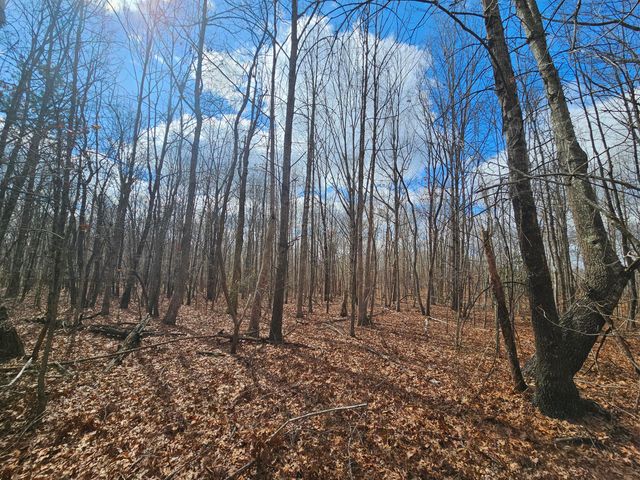 10 Griswold Road, Altamont, TN 37301