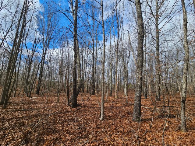 10 Griswold Road, Altamont, TN 37301